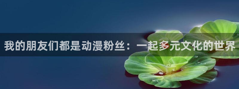 omofun动漫官网热门动漫：我的朋友们都是动漫粉丝：一起多元文化的世界配图