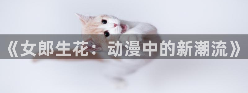 omofun人气动漫：《女郎生花：动漫中的新潮流》配图