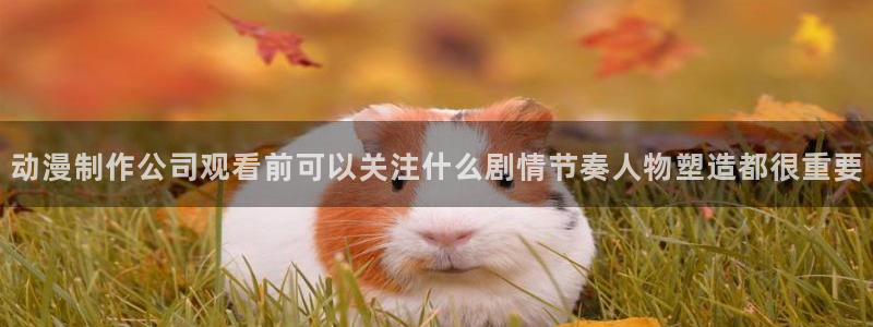 omofun连载动漫：动漫制作公司观看前可以关注什么剧情节奏人物塑造都很重要配图