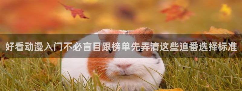 omofun经典动漫：好看动漫入门不必盲目跟榜单先弄清这些追番选择标准配图