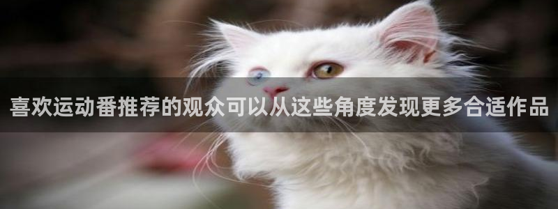 omofun动漫精选：喜欢运动番推荐的观众可以从这些角度发现更多合适作品配图