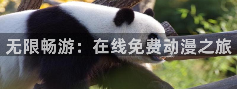 omofun动漫大全在线观看：无限畅游：在线免费动漫之旅配图