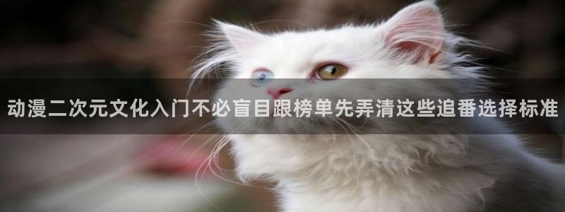 omofun最新作品:动漫二次元文化入门不必盲目跟榜单先弄清这些追番选择标准配图
