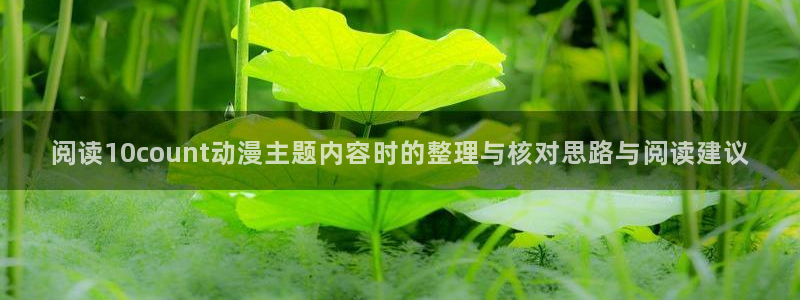 omofun高分动漫推荐:阅读10count动漫主题内容时的整理与核对思路与阅读建议配图