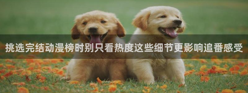 omofun动漫最新推荐：挑选完结动漫榜时别只看热度这些细节更影响追番感受配图